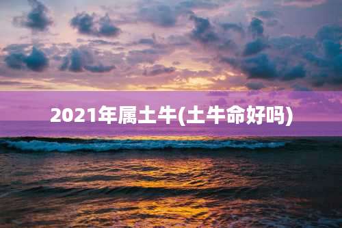 2021年属土牛(土牛命好吗)
