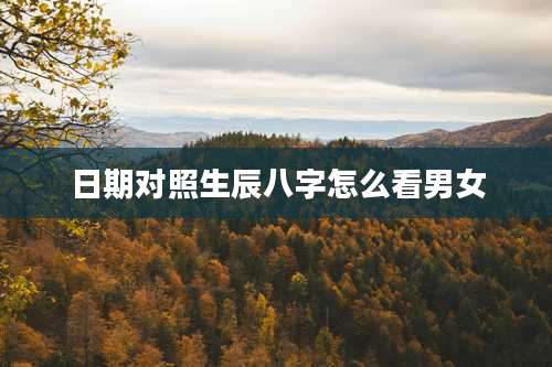 日期对照生辰八字怎么看男女