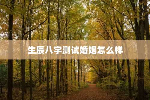 生辰八字测试婚姻怎么样