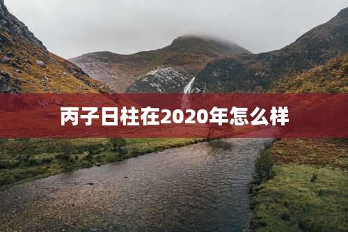 丙子日柱在2020年怎么样