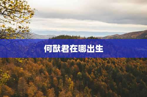 何猷君在哪出生