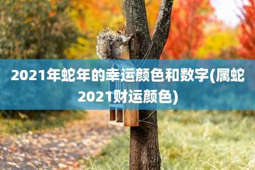 2021年蛇年的幸运颜色和数字(属蛇2021财运颜色)
