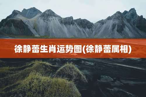 徐静蕾生肖运势图(徐静蕾属相)