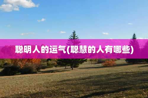 聪明人的运气(聪慧的人有哪些)