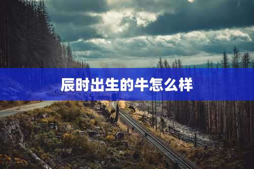 辰时出生的牛怎么样