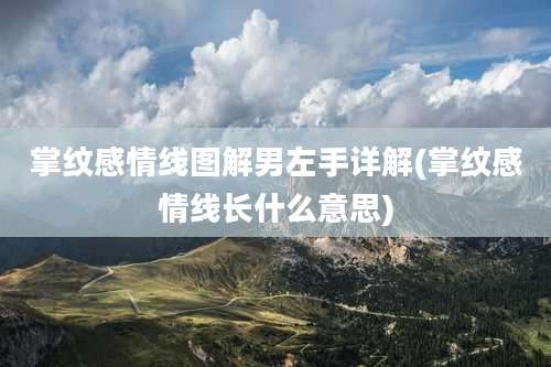 掌纹感情线图解男左手详解(掌纹感情线长什么意思)