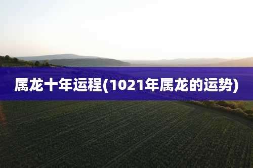 属龙十年运程(1021年属龙的运势)