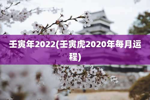 壬寅年2022(壬寅虎2020年每月运程)