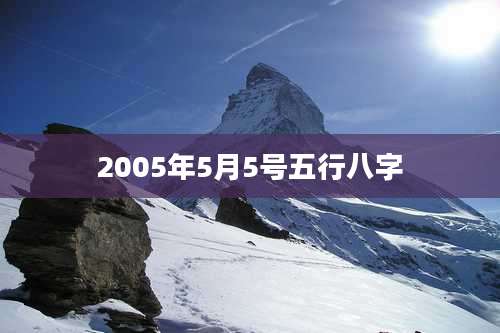 2005年5月5号五行八字