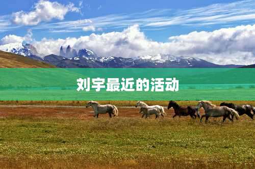 刘宇最近的活动