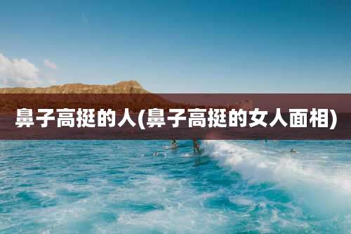 鼻子高挺的人(鼻子高挺的女人面相)