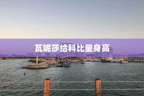 瓦妮莎给科比量身高