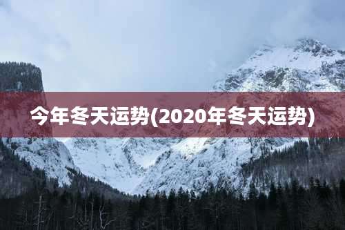 今年冬天运势(2020年冬天运势)