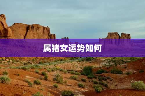 属猪女运势如何