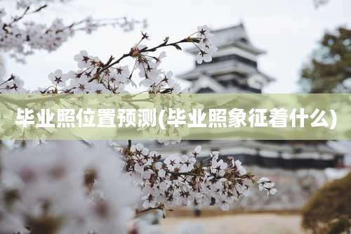 毕业照位置预测(毕业照象征着什么)