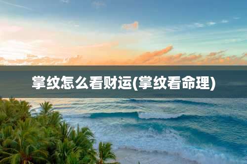 掌纹怎么看财运(掌纹看命理)