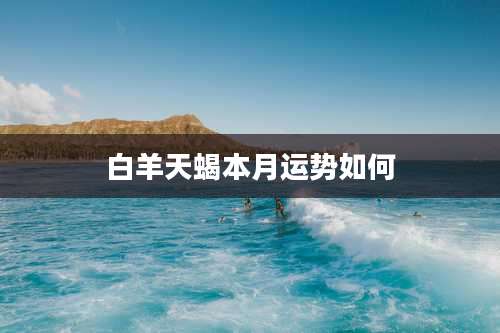 白羊天蝎本月运势如何