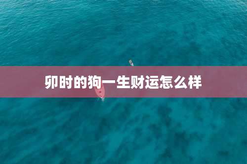 卯时的狗一生财运怎么样