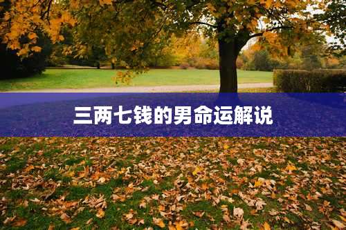 三两七钱的男命运解说