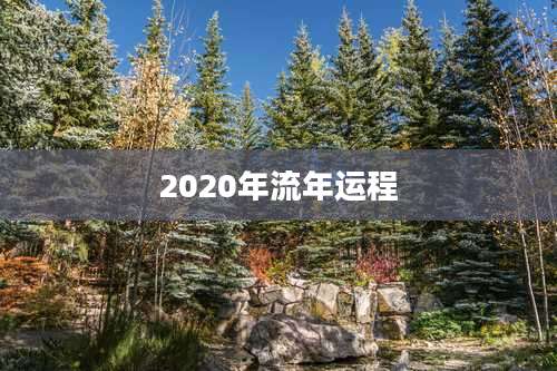 2020年流年运程