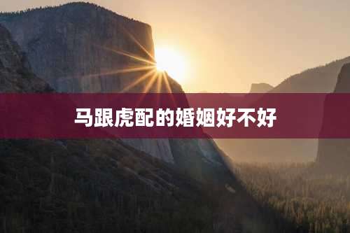 马跟虎配的婚姻好不好