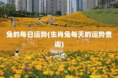 兔的每日运势(生肖兔每天的运势查询)