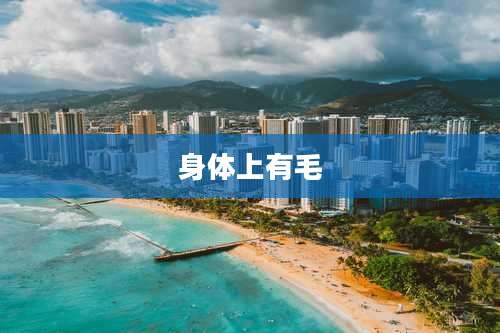身体上有毛
