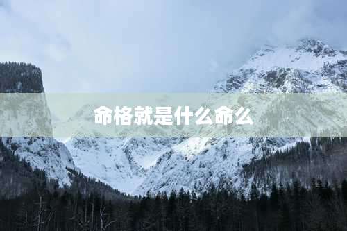 命格就是什么命么