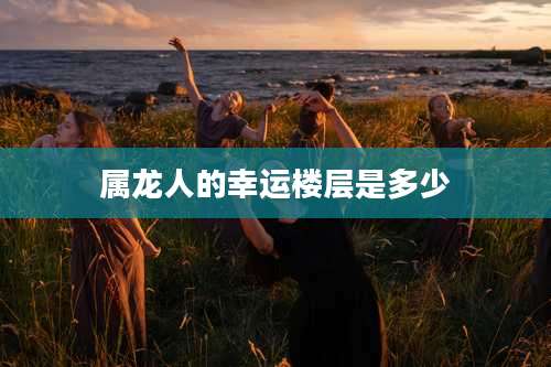 属龙人的幸运楼层是多少