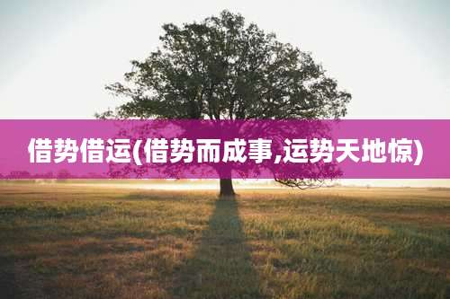 借势借运(借势而成事,运势天地惊)