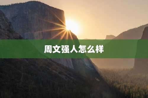 周文强人怎么样