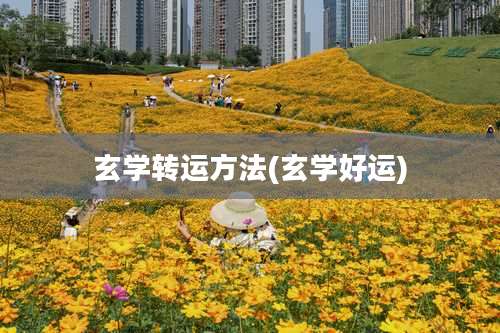 玄学转运方法(玄学好运)