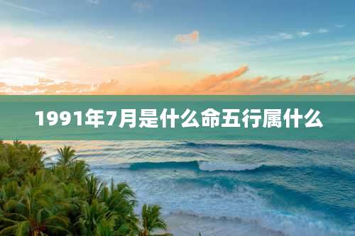 1991年7月是什么命五行属什么