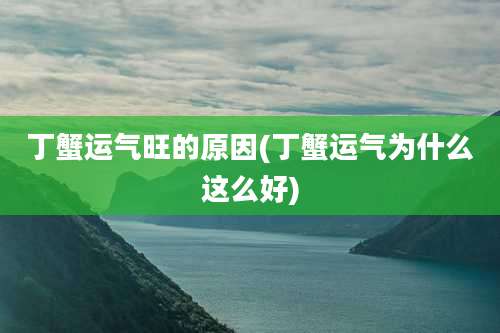 丁蟹运气旺的原因(丁蟹运气为什么这么好)