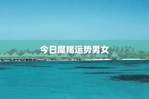 今日魔羯运势男女