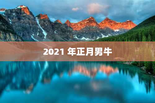 2021 年正月男牛