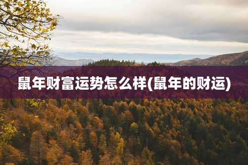 鼠年财富运势怎么样(鼠年的财运)