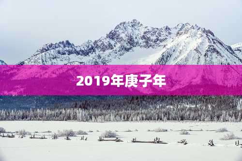 2019年庚子年