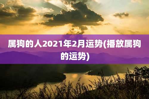 属狗的人2021年2月运势(播放属狗的运势)