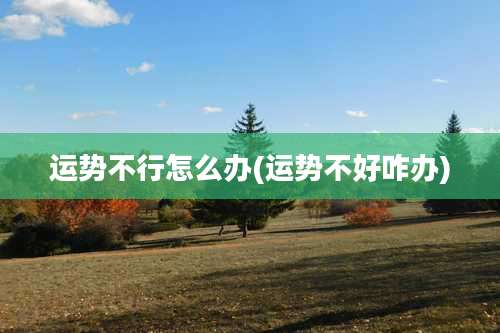 运势不行怎么办(运势不好咋办)