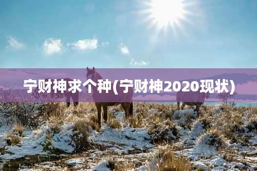 宁财神求个种(宁财神2020现状)