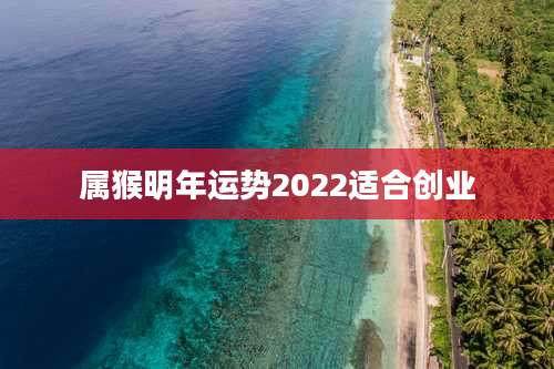 属猴明年运势2022适合创业
