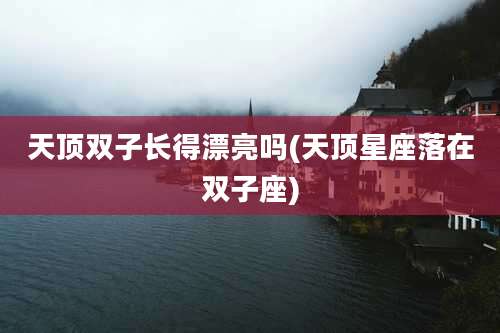 天顶双子长得漂亮吗(天顶星座落在双子座)