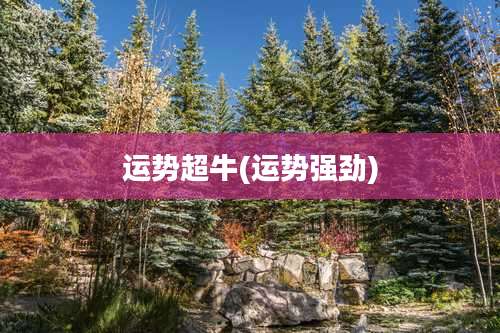 运势超牛(运势强劲)