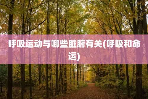 呼吸运动与哪些脏腑有关(呼吸和命运)