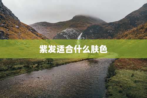 紫发适合什么肤色