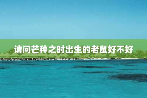 请问芒种之时出生的老鼠好不好