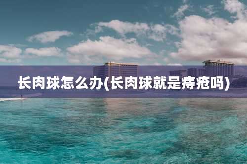 长肉球怎么办(长肉球就是痔疮吗)