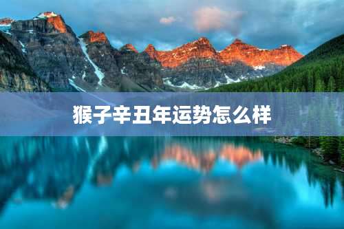 猴子辛丑年运势怎么样