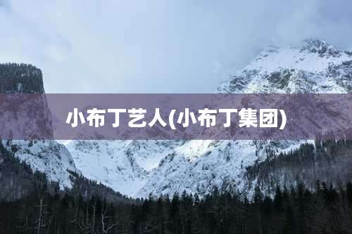 小布丁艺人(小布丁集团)